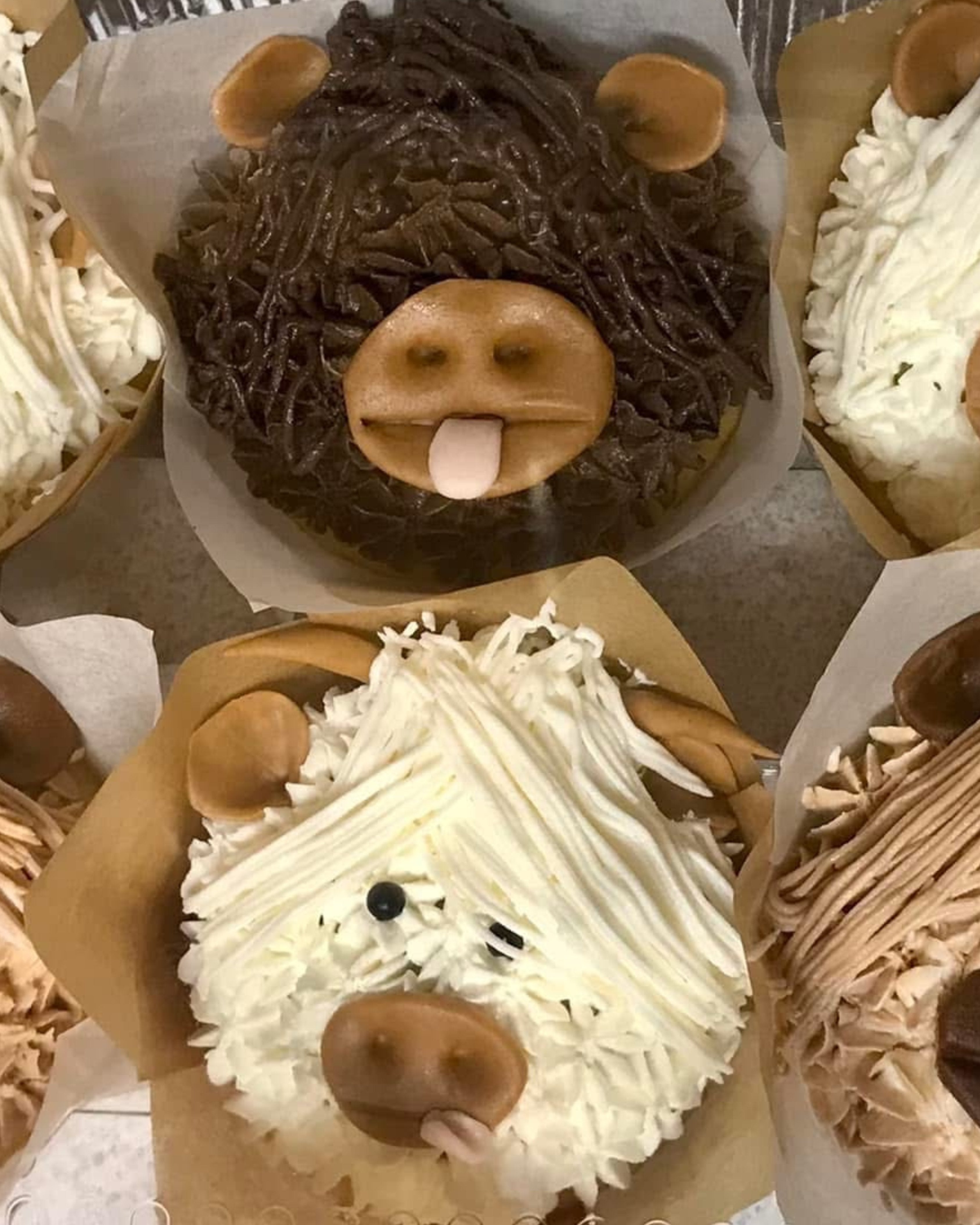 Highland cow-themed cupcakes with chocolate and vanilla frosting, fondant ears, noses, and playful faces—one sticking out its tongue. Fun, farm-inspired treats with a whimsical twist.
