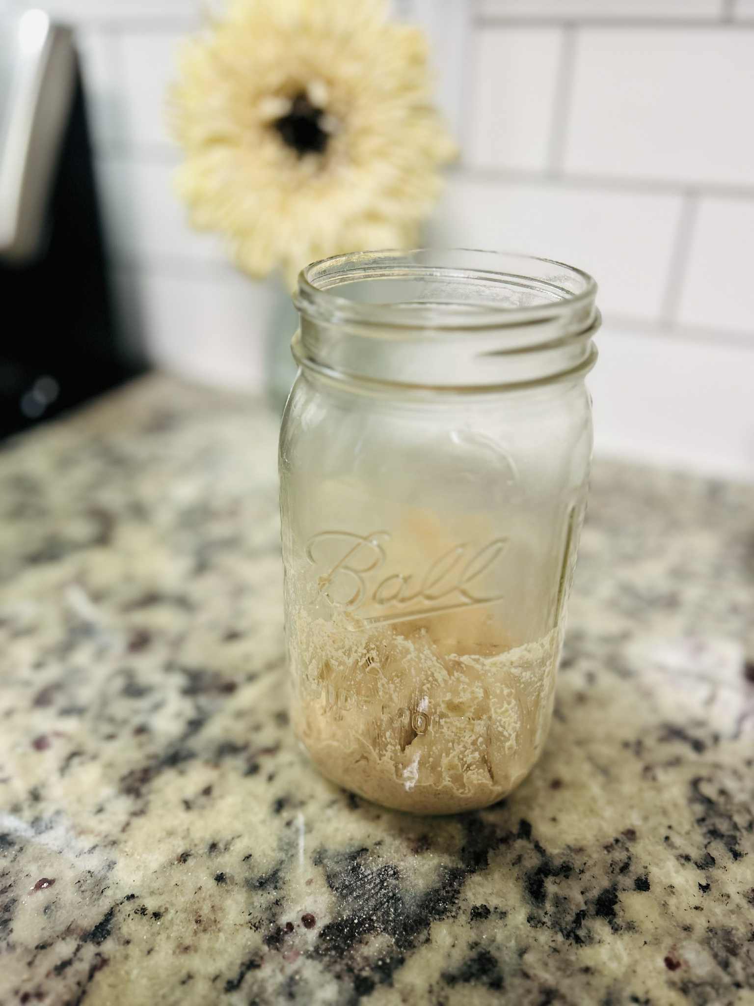 Dehydrated Sourdough Starter – Easy to Revive