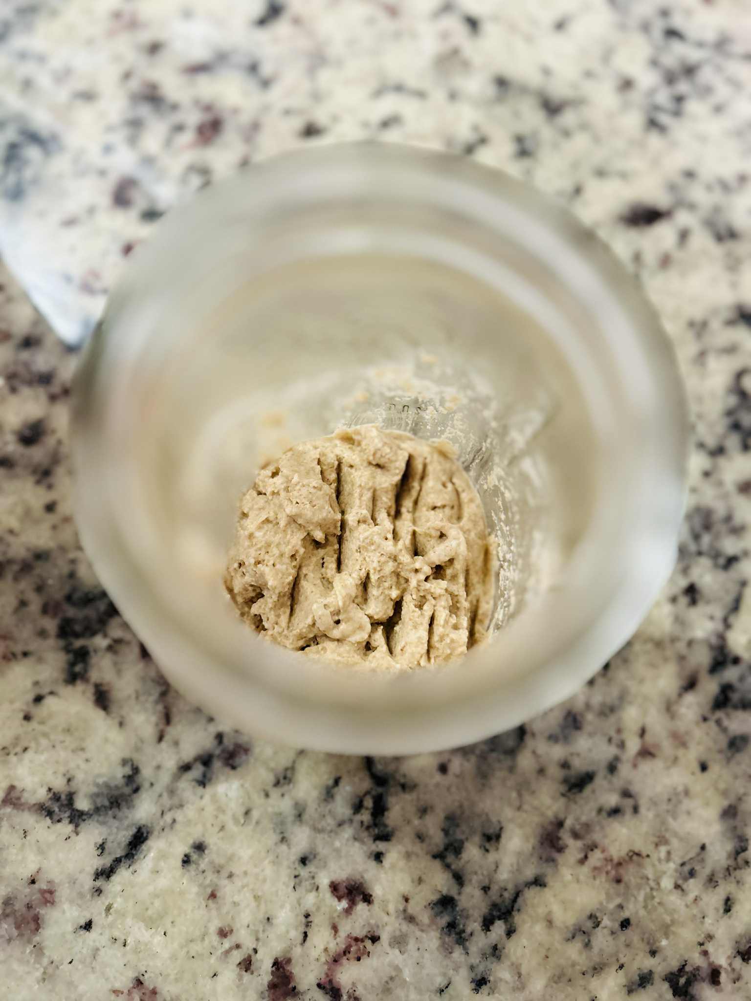 Dehydrated Sourdough Starter – Easy to Revive